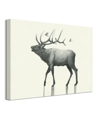 Calling Elk - obraz na płótnie