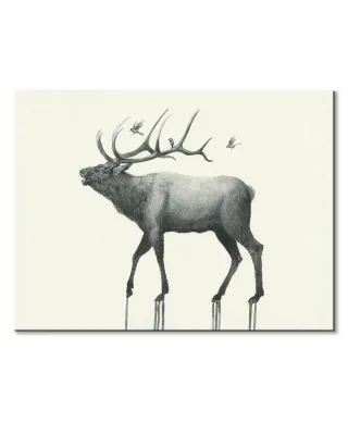 Calling Elk - obraz na płótnie