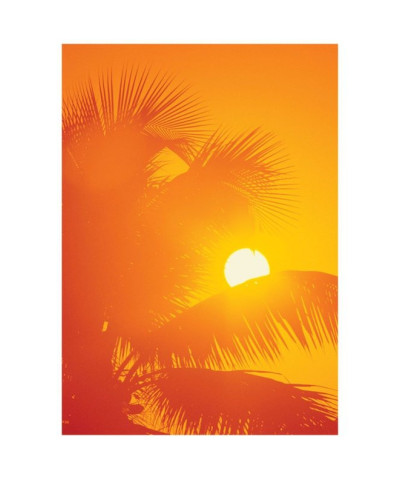 Pomarańczowe palmy - reprodukcja