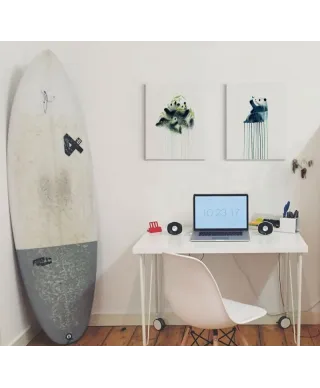 Panda Butterfly - obraz na płótnie