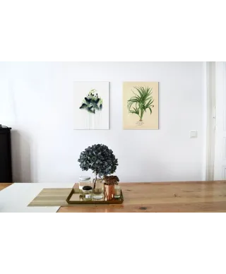 Pandas Bamboo - obraz na płótnie