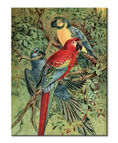Vintage Parrots - obraz na płótnie