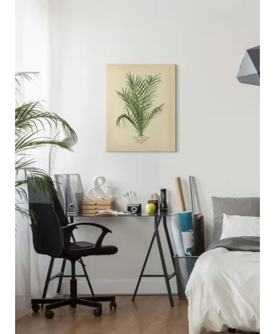 Spiny Date Palm - obraz na płótnie
