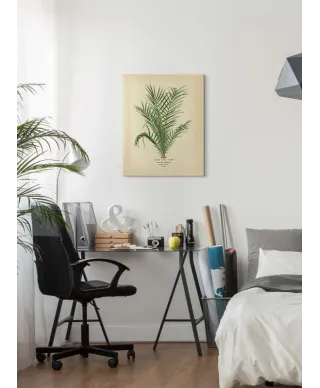 Spiny Date Palm - obraz na płótnie