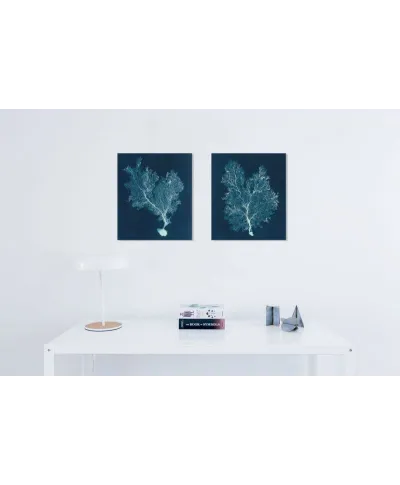 Sea Fan III - obraz na płótnie