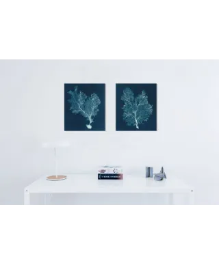 Sea Fan III - obraz na płótnie