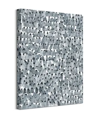 Penguins Composition - obraz na płótnie