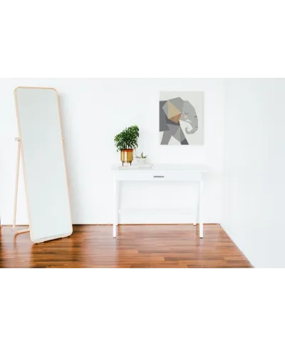 Elephant - obraz na płótnie