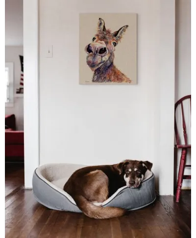 Doreen - obraz na płótnie