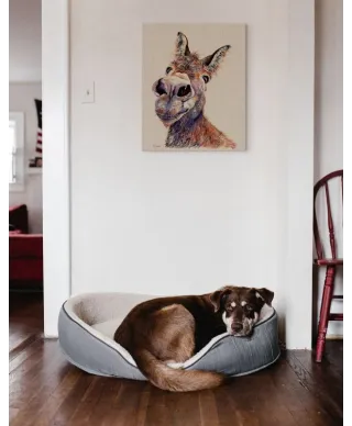 Doreen - obraz na płótnie