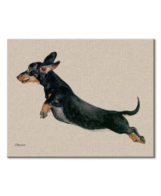 Freddy - obraz na płótnie