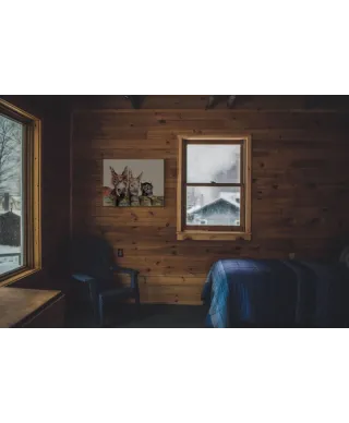 Johnny, Freckles & Halfpint - obraz na płótnie