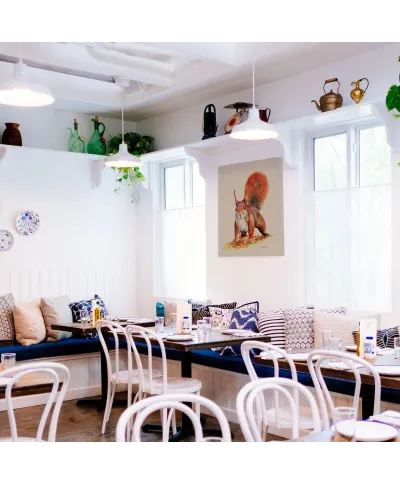 Sammy - obraz na płótnie