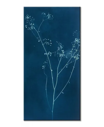 Grasses II - obraz na płótnie