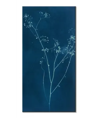 Grasses II - obraz na płótnie