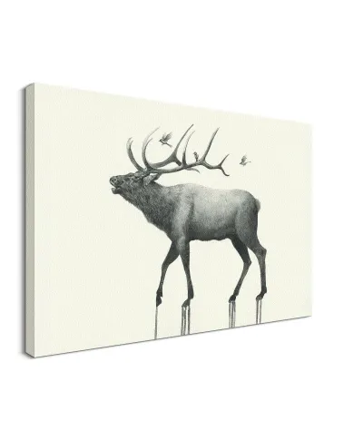 Calling Elk - obraz na płótnie