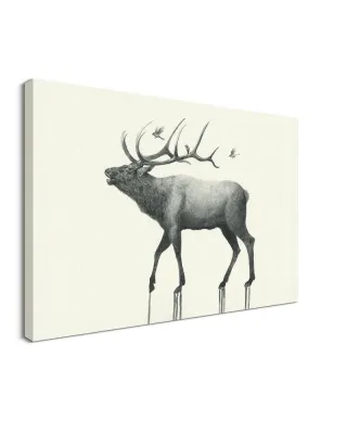 Calling Elk - obraz na płótnie