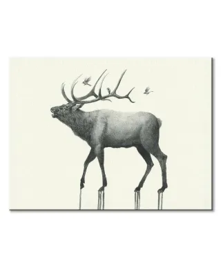Calling Elk - obraz na płótnie