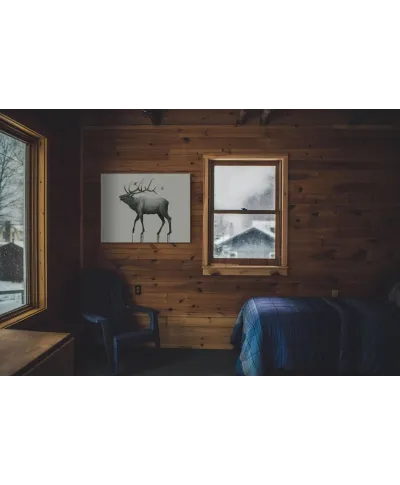 Calling Elk - obraz na płótnie
