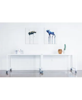 Moose - obraz na płótnie