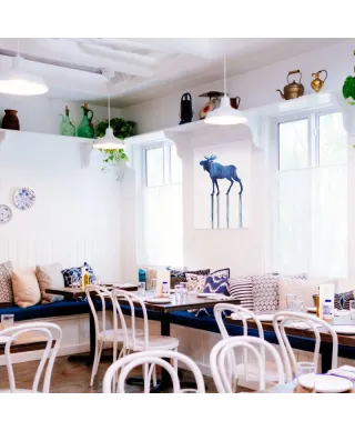 Moose - obraz na płótnie