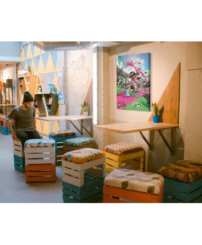 Splatoon 2 (Game Cover) - obraz na płótnie