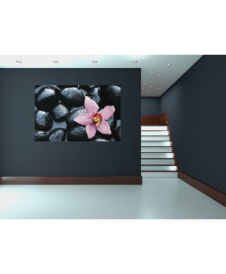Fototapeta na ścianę - Kamienie i Orchidea - 115x175cm