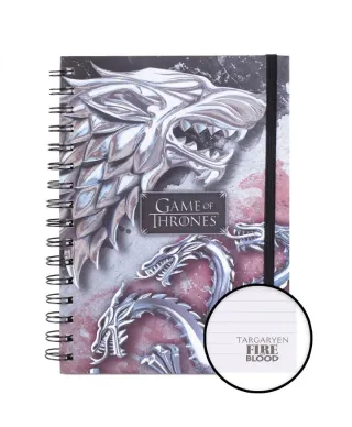 Gra o Tron: Stark & Targaryen - notes