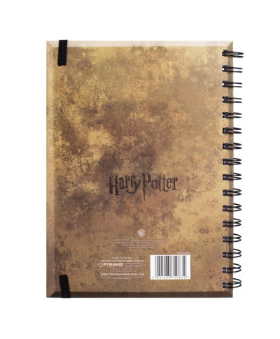 Harry Potter Domy Hogwartu - notes