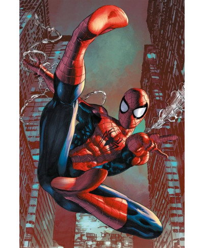 Spider-Man Web Sling - plakat