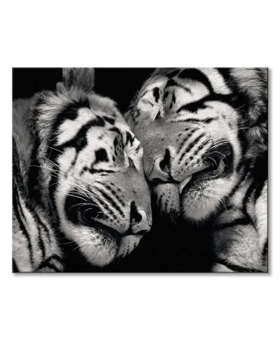 Sleeping Tigers - obraz na płótnie
