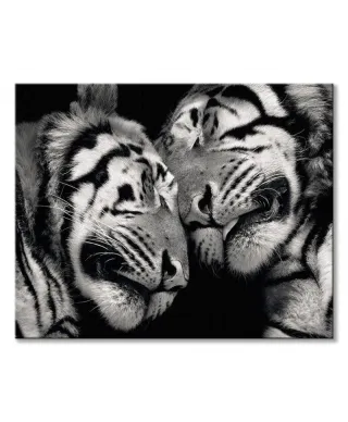 Sleeping Tigers - obraz na płótnie