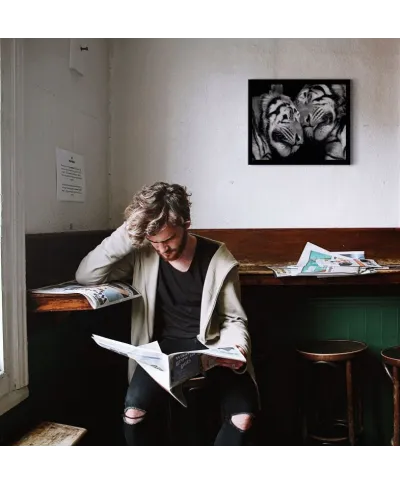 Sleeping Tigers - obraz na płótnie