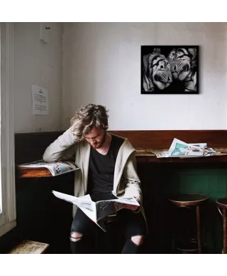 Sleeping Tigers - obraz na płótnie