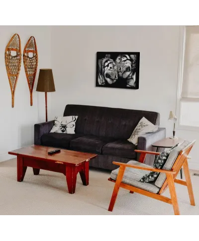 Sleeping Tigers - obraz na płótnie