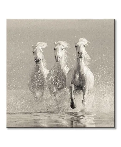 Three White Horses - obraz na płótnie