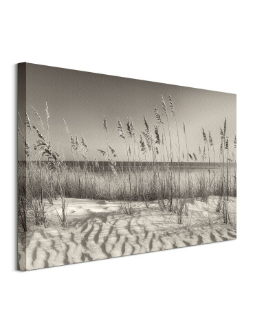 Dune Grass - obraz na płótnie