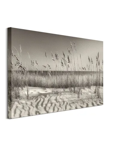Dune Grass - obraz na płótnie