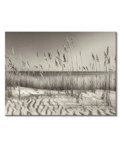 Dune Grass - obraz na płótnie