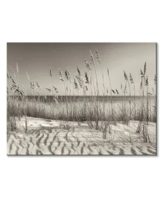 Dune Grass - obraz na płótnie