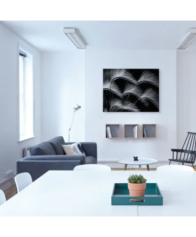 Grass Curls - obraz na płótnie