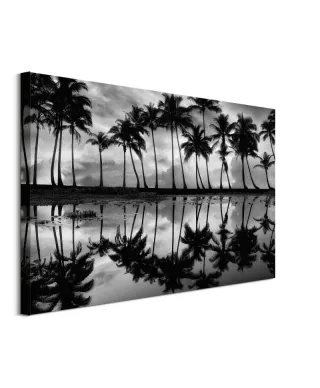 Palm Reflection - obraz na płótnie