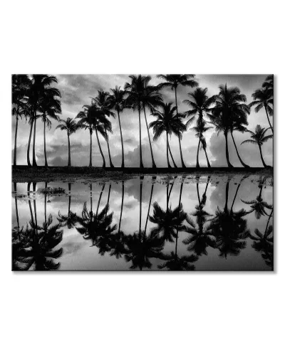 Palm Reflection - obraz na płótnie