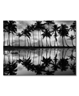 Palm Reflection - obraz na płótnie