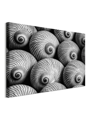 Striped Moon - obraz na płótnie