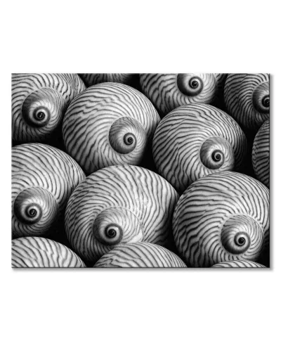 Striped Moon - obraz na płótnie