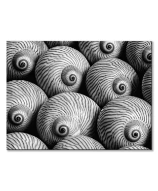 Striped Moon - obraz na płótnie