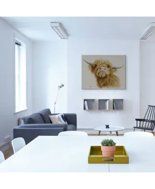 Donald - obraz na płótnie