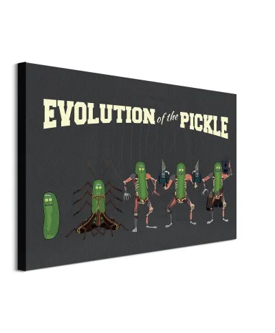 Rick and Morty Evolution Of The Pickle - obraz na płótnie