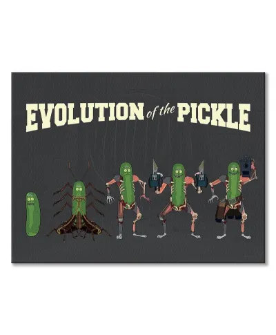 Rick and Morty Evolution Of The Pickle - obraz na płótnie